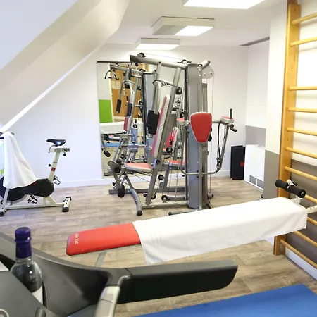 朋杜贝斯特韦斯特酒店 3* 菲雅克