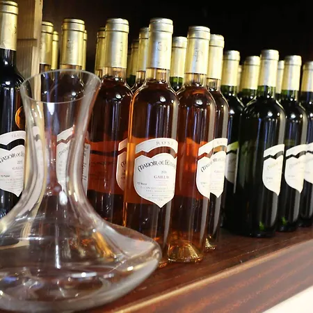 酒店 朋杜贝斯特韦斯特酒店 3*