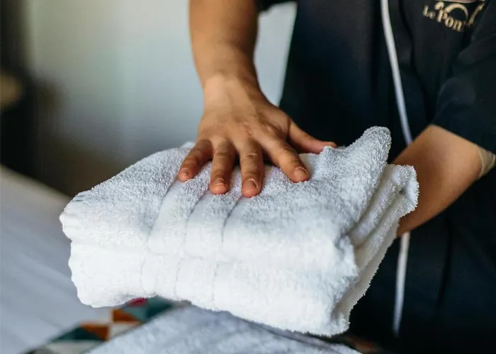 ホテル ベスト ウェスタン ル ポン ドール フィジャック